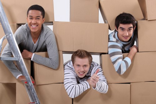 Local movers handling an apartment move with narrow access in France